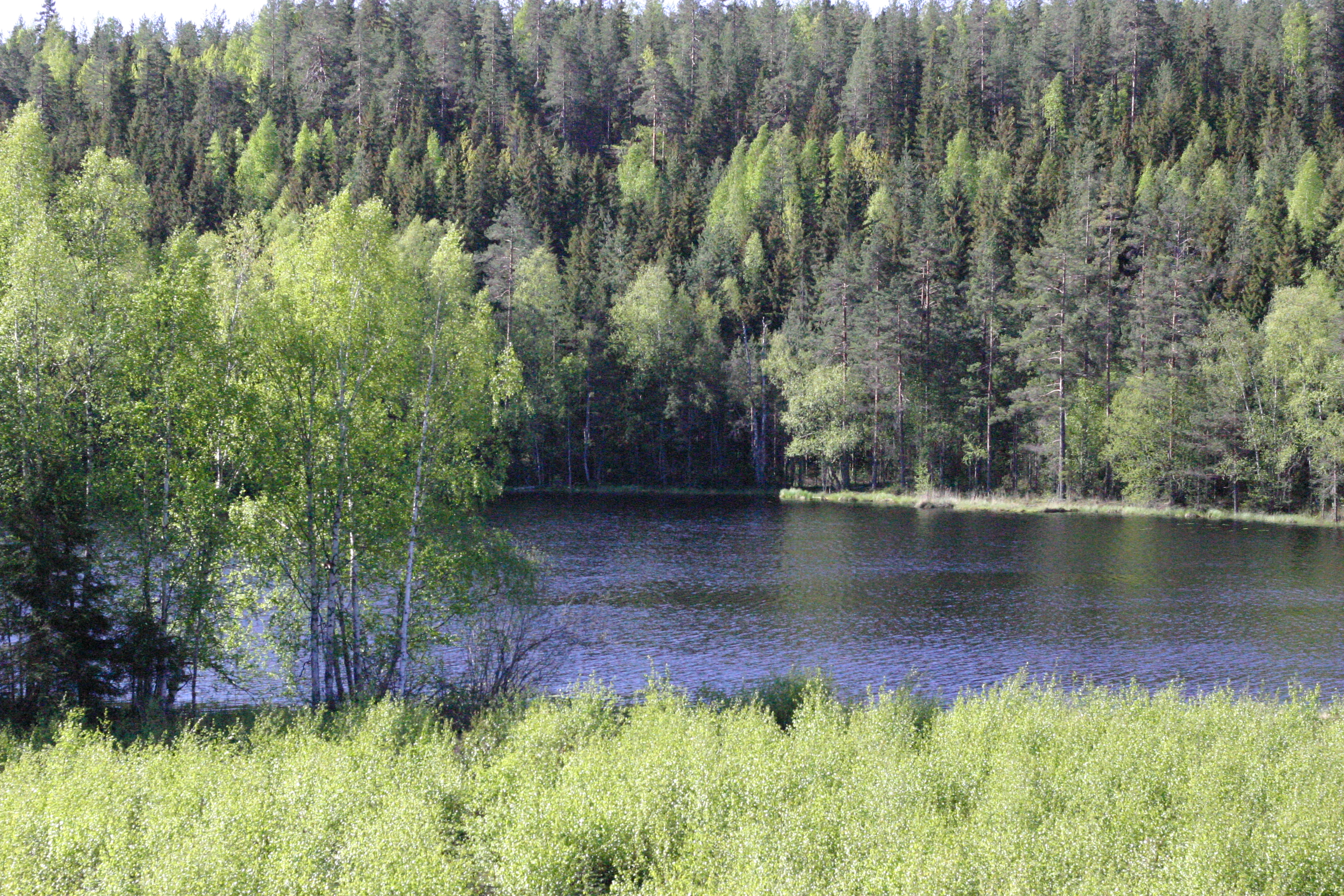 Houkanjärvi